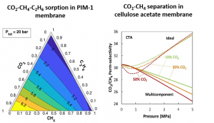 Multicomponent sorption in a membrane 